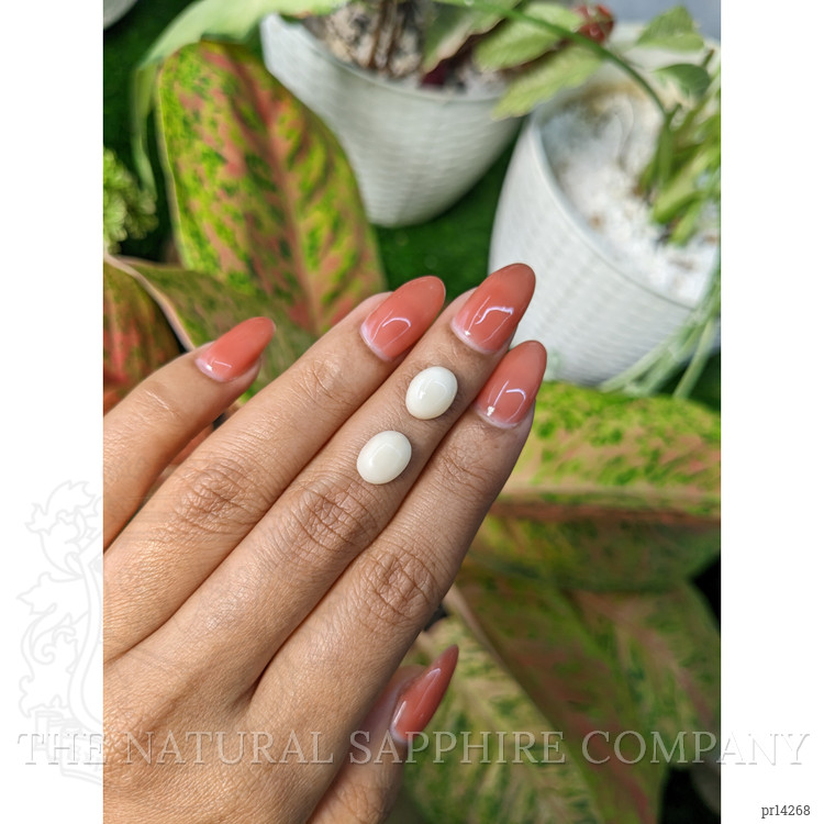 3.94 Ct.Tw. Salmon and White Cabochon Coral Pair from Italy