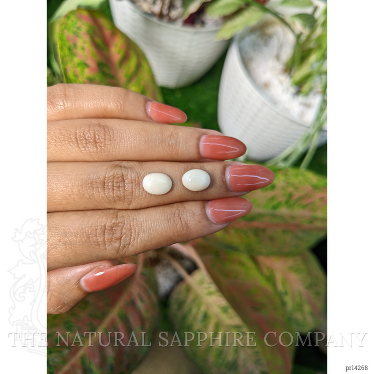 3.94 Ct.Tw. Salmon and White Cabochon Coral Pair from Italy