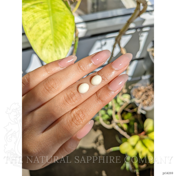 4.19 Ct.Tw. Salmon and White Cabochon Coral Pair from Italy