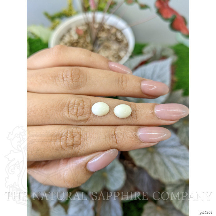 4.19 Ct.Tw. Salmon and White Cabochon Coral Pair from Italy