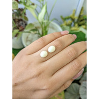 4.52 Ct.Tw.Total Carat Weight Salmon and White Cabochon Coral Pair from Italy Life Style