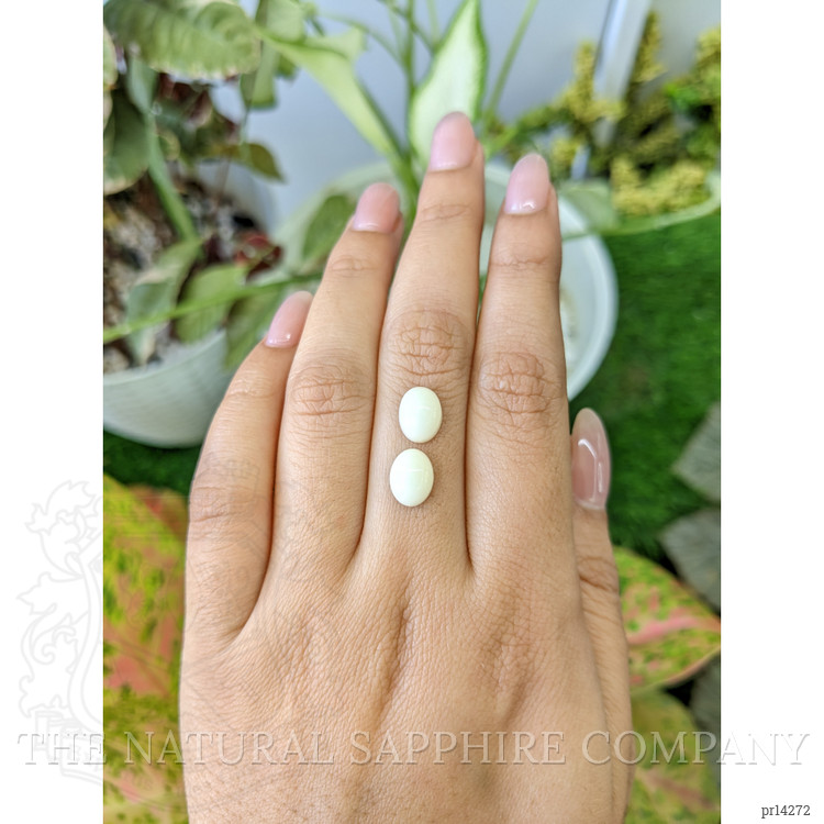 4.08 Ct.Tw. Salmon and White Cabochon Coral Pair from Italy