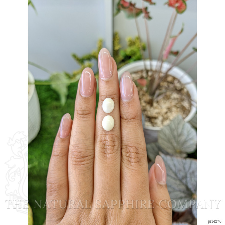 3.06 Ct.Tw. Salmon and White Cabochon Coral Pair from Italy