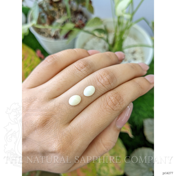 2.34 Ct.Tw. Salmon and White Cabochon Coral Pair from Italy