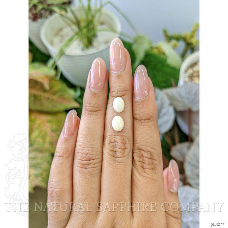 2.34 Ct.Tw. Salmon and White Cabochon Coral Pair from Italy