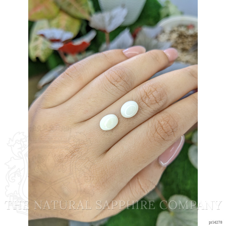 3.91 Ct.Tw. Salmon and White Cabochon Coral Pair from Italy