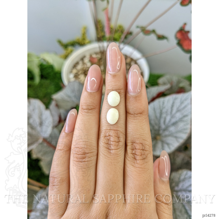3.91 Ct.Tw. Salmon and White Cabochon Coral Pair from Italy