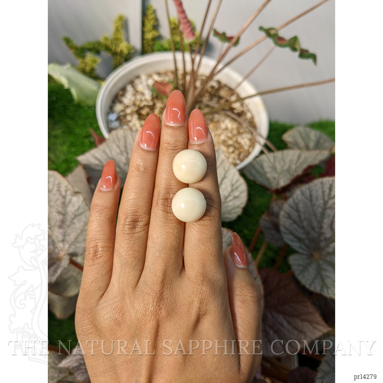 37.81 Ct.Tw. Salmon and White Cabochon Coral Pair from Italy