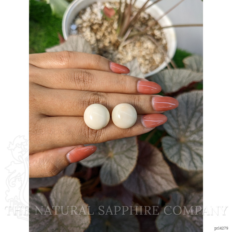 37.81 Ct.Tw. Salmon and White Cabochon Coral Pair from Italy