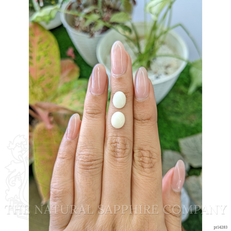 4.35 Ct.Tw. Salmon and White Cabochon Coral Pair from Italy