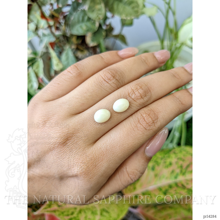 4.42 Ct.Tw. Salmon and White Cabochon Coral Pair from Italy