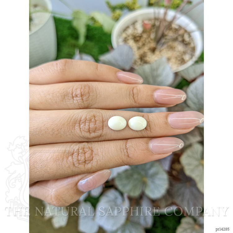 3.70 Ct.Tw. Salmon and White Cabochon Coral Pair from Italy