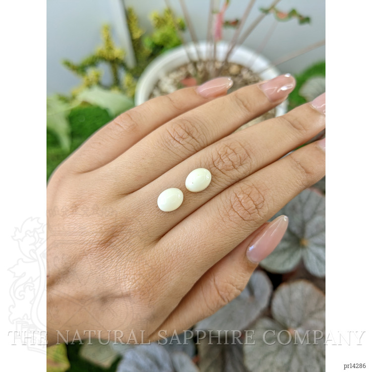 4.78 Ct.Tw. Salmon and White Cabochon Coral Pair from Italy