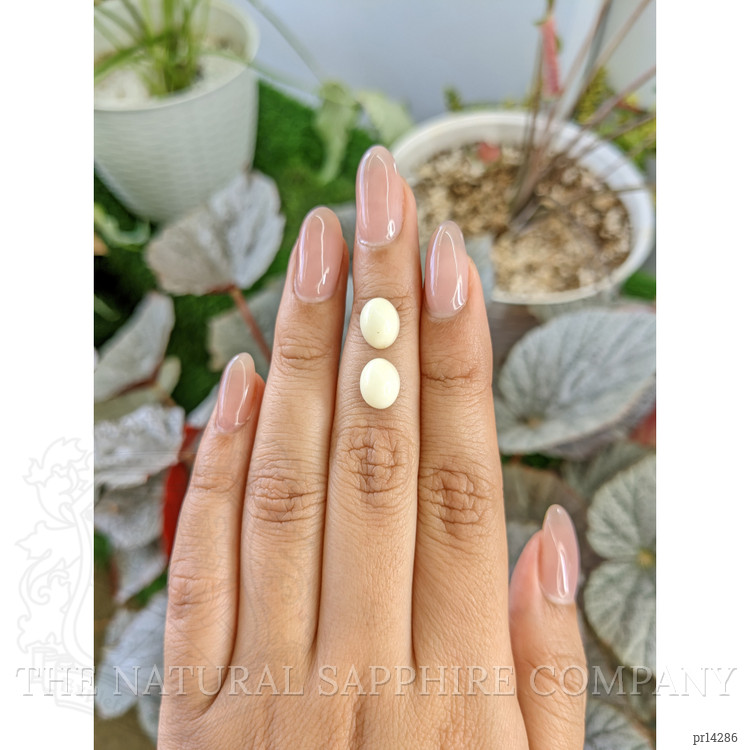 4.78 Ct.Tw. Salmon and White Cabochon Coral Pair from Italy