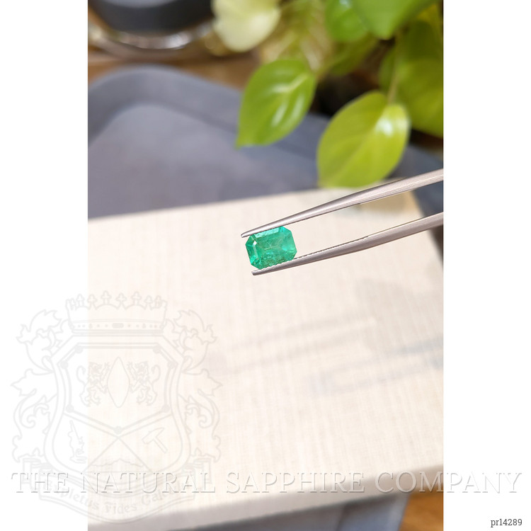 2.53 Ct.Tw. Emerald Pair from Brazil