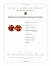 Jewelry Scan Report