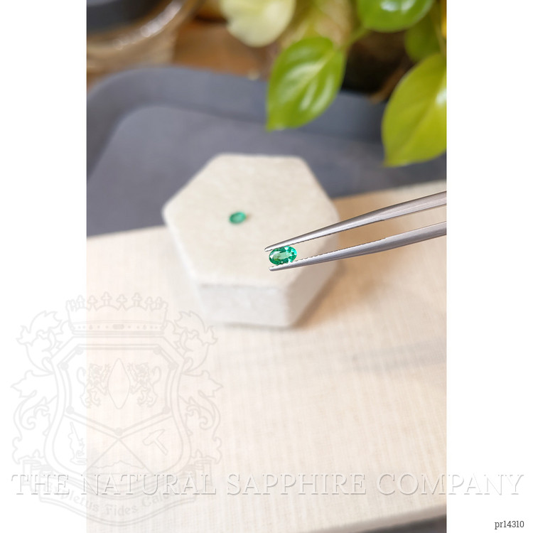 0.40 Ct.Tw. Emerald Pair from Afghanistan