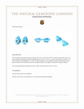 73.54 Ct.Tw.Total Carat Weight Blue Topaz Pair from Brazil Appraisal