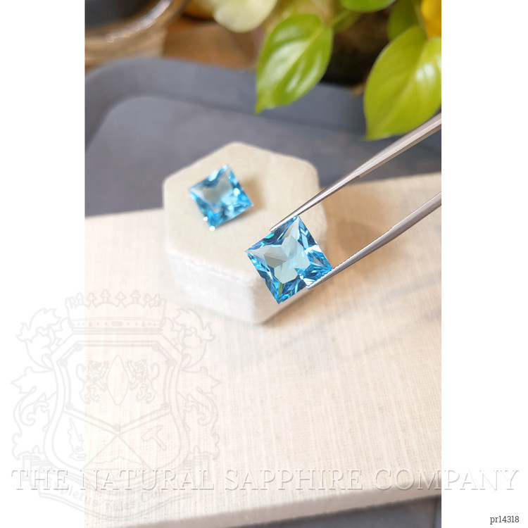 22.54 Ct.Tw. Blue Topaz Pair from Brazil