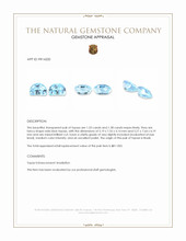 2.71 Ct.Tw.Total Carat Weight Swiss Blue Topaz Pair from Brazil Appraisal