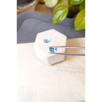 2.71&nbsp;Ct.Tw.Total Carat Weight Swiss Blue Topaz Pair from Brazil Life Style
