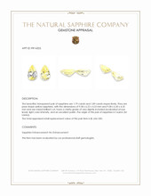 3.68 Ct.Tw.Total Carat Weight Yellow Sapphire Pair from Ceylon (Sri Lanka) Appraisal