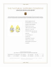 3.68&nbsp;Ct.Tw.Total Carat Weight Yellow Sapphire Pair from Ceylon (Sri Lanka) Scan Report