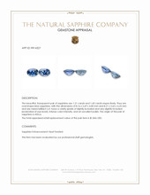 3.11 Ct.Tw.Total Carat Weight Blue Sapphire Pair from Africa Appraisal