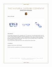 2.61 Ct.Tw.Total Carat Weight Purplish Blue Sapphire Pair from Ceylon (Sri Lanka) Appraisal