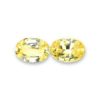 1.60&nbsp;Ct.Tw.Total Carat Weight Yellow Sapphire Pair from Ceylon (Sri Lanka) Video