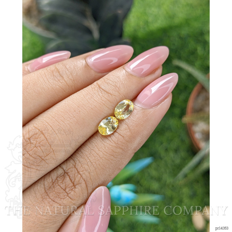 1.60 Ct.Tw. Yellow Sapphire Pair from Ceylon (Sri Lanka)