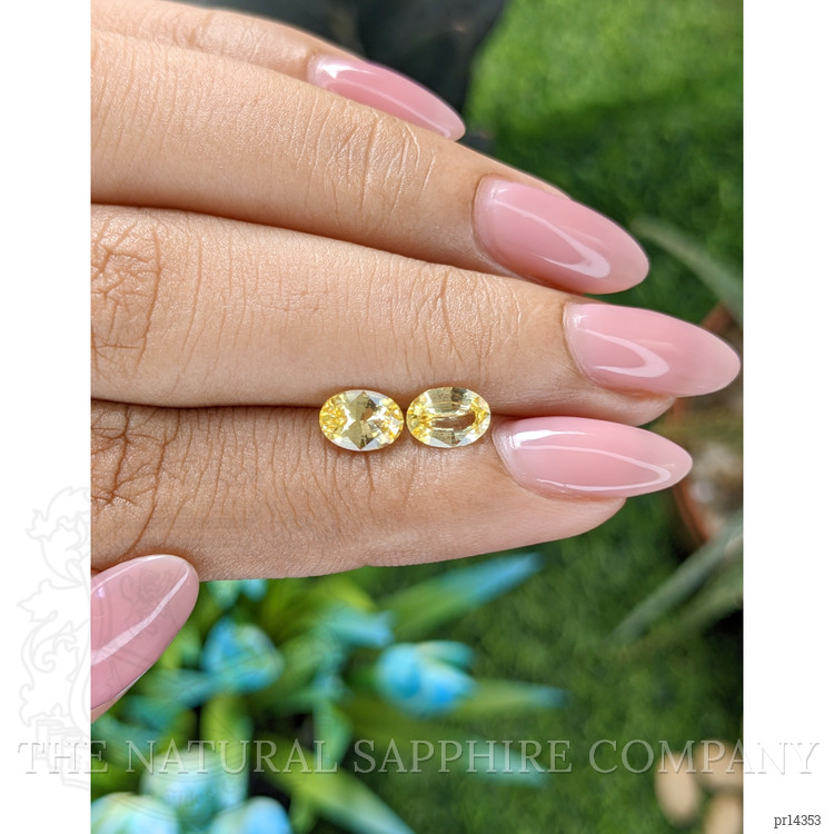 1.60 Ct.Tw. Yellow Sapphire Pair from Ceylon (Sri Lanka)