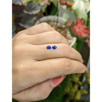 0.68&nbsp;Ct.Tw.Total Carat Weight Blue Sapphire Pair from Ceylon (Sri Lanka) Life Style