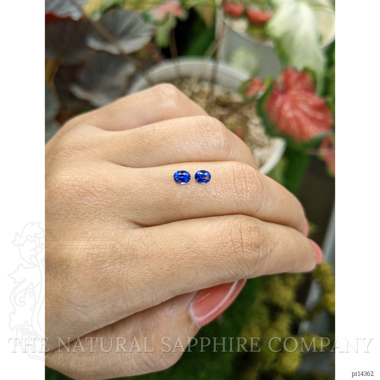 0.68 Ct.Tw. Blue Sapphire Pair from Ceylon (Sri Lanka)