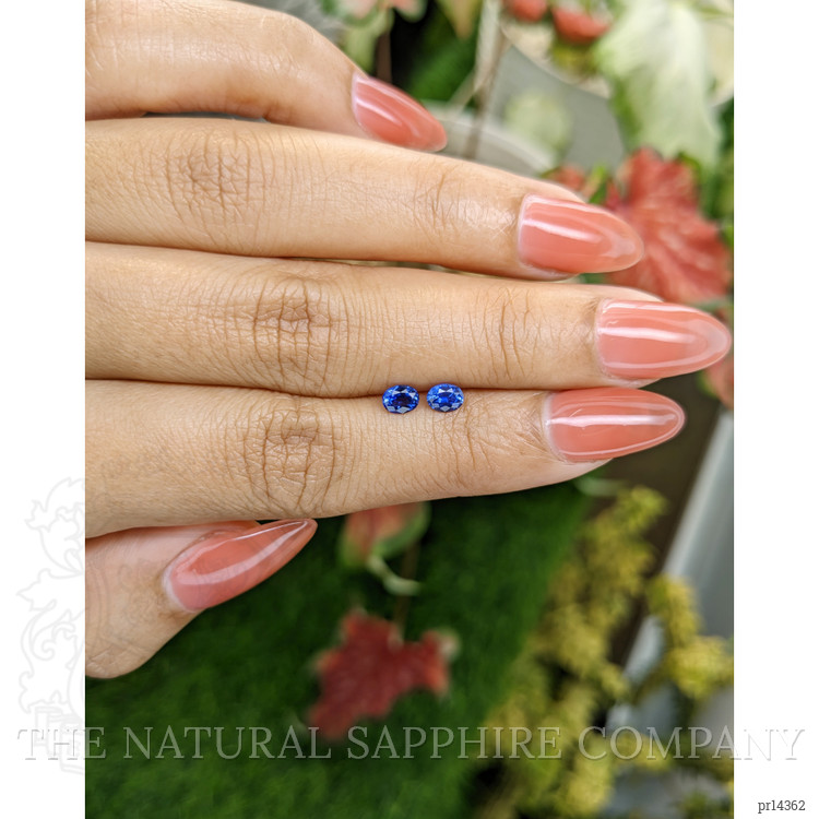 0.68 Ct.Tw. Blue Sapphire Pair from Ceylon (Sri Lanka)