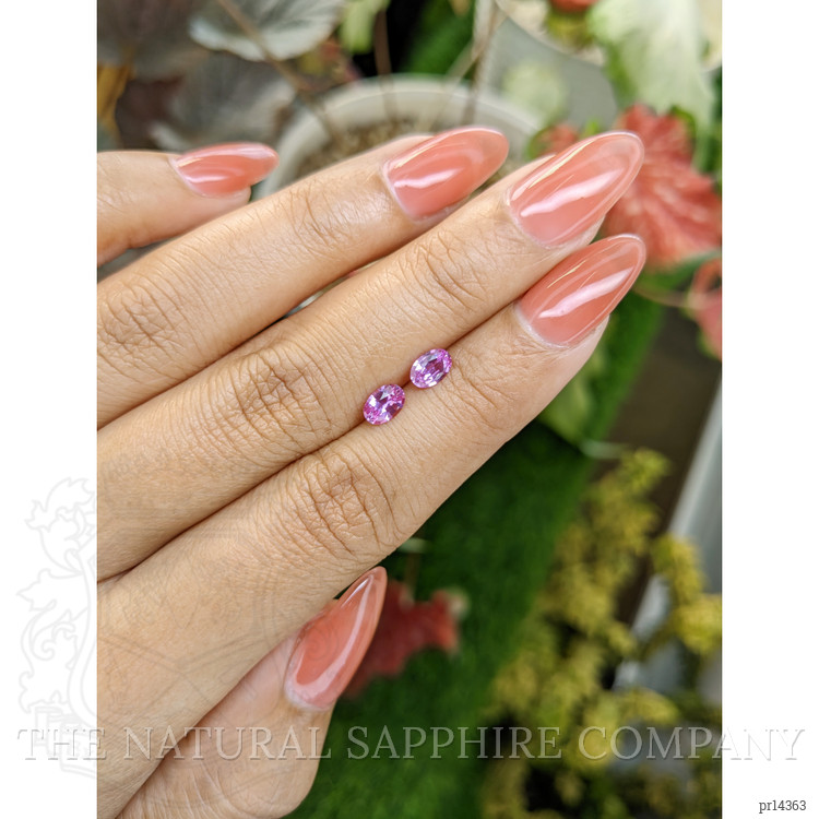 0.92 Ct.Tw. Purplish Pink Sapphire Pair from Ceylon (Sri Lanka)