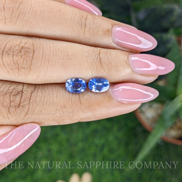 1.87 Ct.Tw. Blue Sapphire Pair from Ceylon (Sri Lanka)