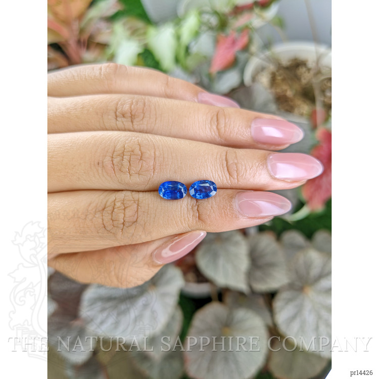 2.78 Ct.Tw. Blue Sapphire Pair from Ceylon (Sri Lanka)