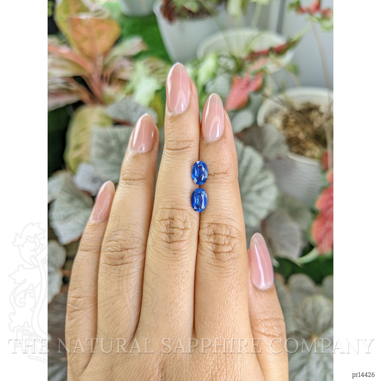 2.78 Ct.Tw. Blue Sapphire Pair from Ceylon (Sri Lanka)