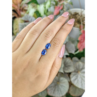 2.78&nbsp;Ct.Tw.Total Carat Weight Blue Sapphire Pair from Ceylon (Sri Lanka) Life Style
