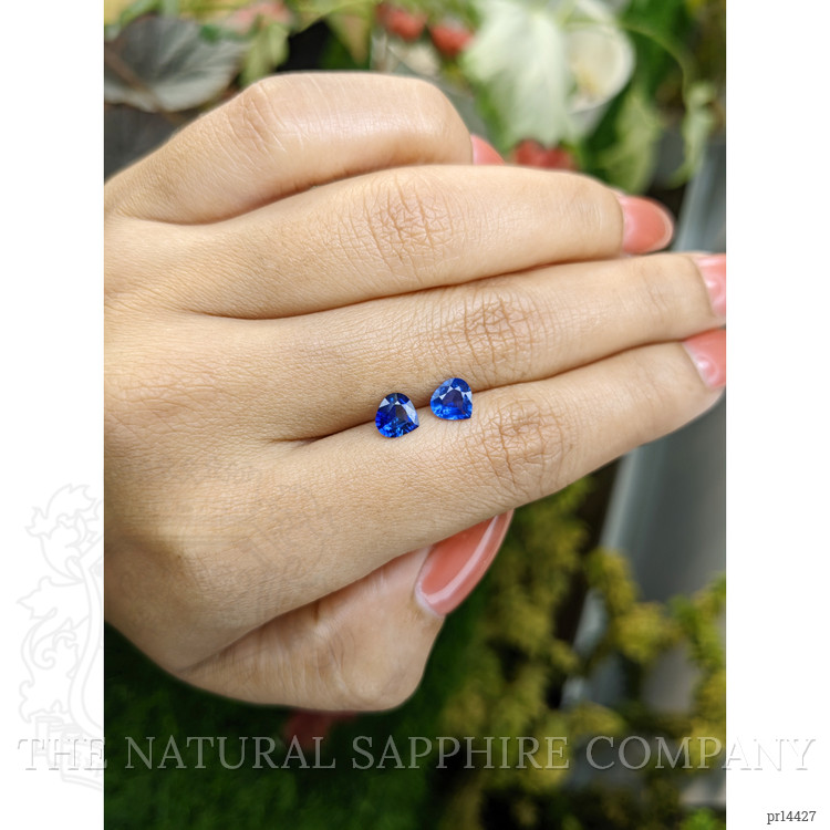 1.36 Ct.Tw. Blue Sapphire Pair from Ceylon (Sri Lanka)
