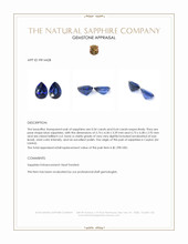 1.18 Ct.Tw.Total Carat Weight Blue Sapphire Pair from Ceylon (Sri Lanka) Appraisal
