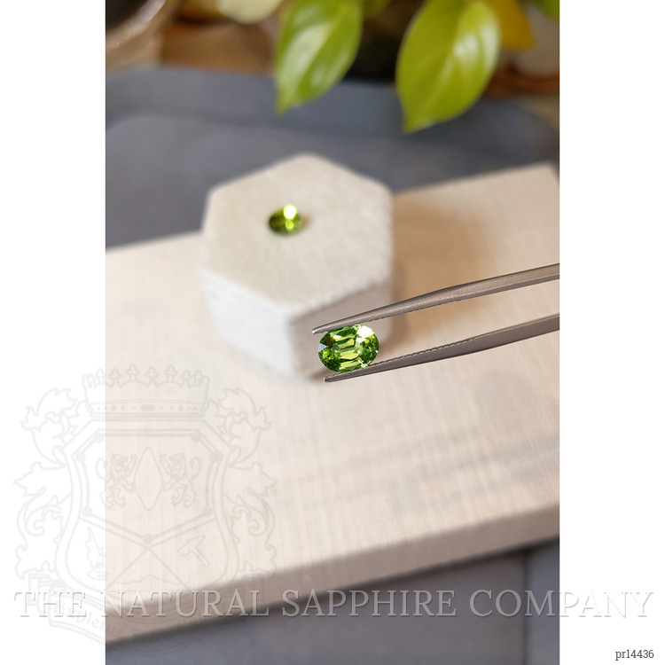 3.06 Ct.Tw. Yellowish Green Peridot Pair from Burma (Myanmar)
