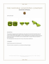 2.87 Ct.Tw.Total Carat Weight Yellowish Green Peridot Pair from Burma (Myanmar) Appraisal