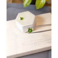 2.87&nbsp;Ct.Tw.Total Carat Weight Yellowish Green Peridot Pair from Burma (Myanmar) Life Style