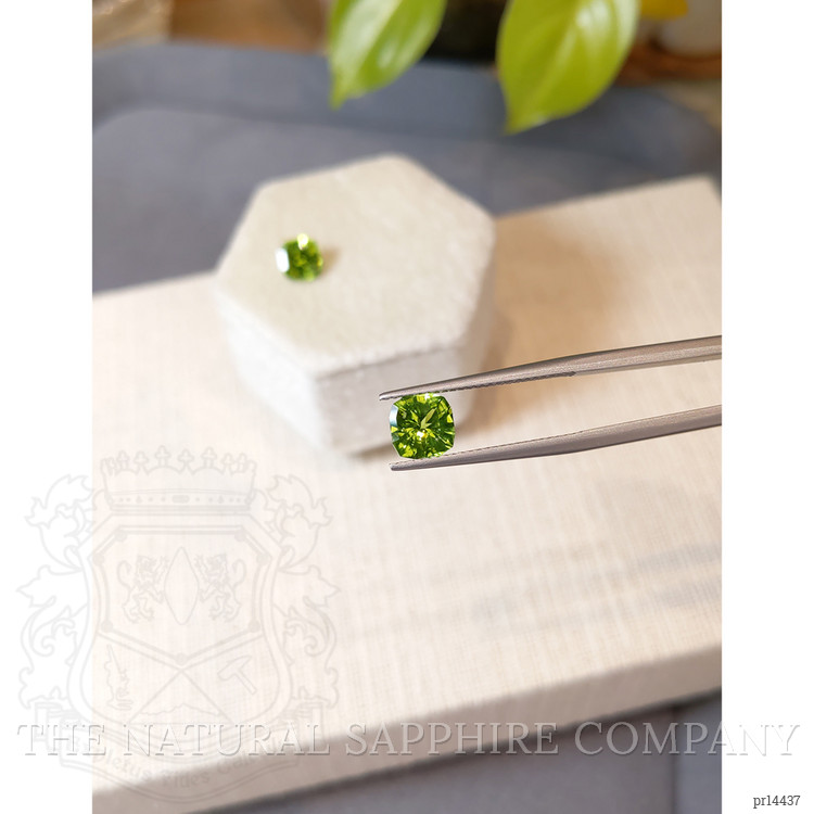 2.87 Ct.Tw. Yellowish Green Peridot Pair from Burma (Myanmar)