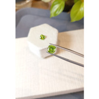 3.46&nbsp;Ct.Tw.Total Carat Weight Yellowish Green Peridot Pair from Burma (Myanmar) Life Style