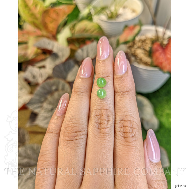 2.67 Ct.Tw. Yellowish Green Cabochon Jade Pair from Burma (Myanmar)
