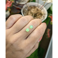 2.66&nbsp;Ct.Tw.Total Carat Weight Green Cabochon Jade Pair from Burma (Myanmar) Life Style