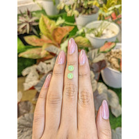 2.65&nbsp;Ct.Tw.Total Carat Weight Yellowish Green Cabochon Jade Pair from Burma (Myanmar) Life Style